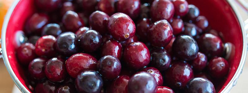 Cranberry