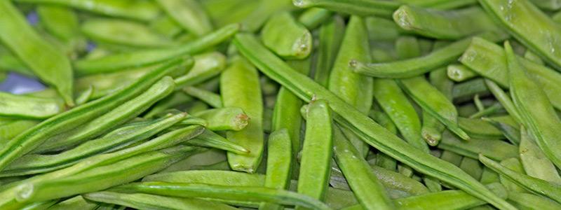 Guar gum